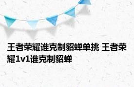 王者荣耀谁克制貂蝉单挑 王者荣耀1v1谁克制貂蝉 