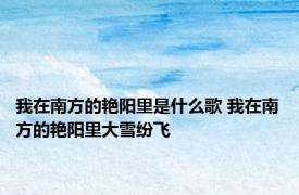 我在南方的艳阳里是什么歌 我在南方的艳阳里大雪纷飞 