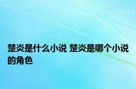 楚炎是什么小说 楚炎是哪个小说的角色 