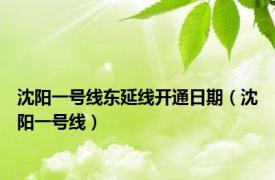 沈阳一号线东延线开通日期（沈阳一号线）