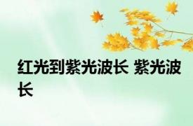 红光到紫光波长 紫光波长 