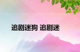 追剧迷狗 追剧迷 