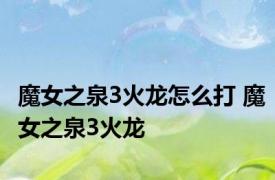 魔女之泉3火龙怎么打 魔女之泉3火龙 
