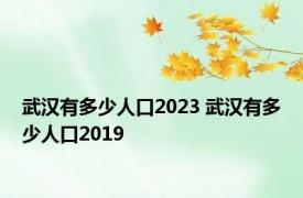 武汉有多少人口2023 武汉有多少人口2019 