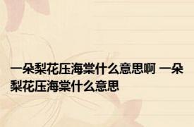 一朵梨花压海棠什么意思啊 一朵梨花压海棠什么意思 