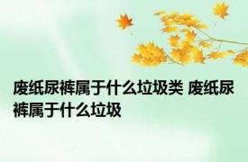 废纸尿裤属于什么垃圾类 废纸尿裤属于什么垃圾