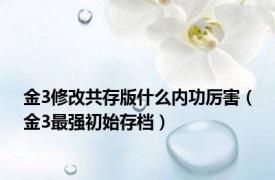 金3修改共存版什么内功厉害（金3最强初始存档）
