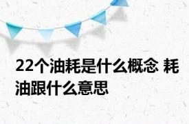 22个油耗是什么概念 耗油跟什么意思 