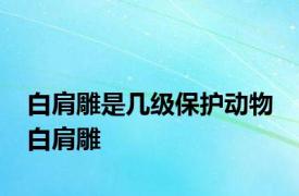 白肩雕是几级保护动物 白肩雕 
