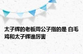 太子辉的老板周公子指的是 白毛鸡和太子辉谁厉害 