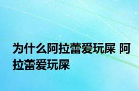 为什么阿拉蕾爱玩屎 阿拉蕾爱玩屎 