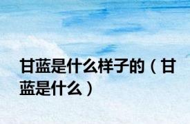 甘蓝是什么样子的（甘蓝是什么）