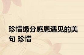珍惜缘分感恩遇见的美句 珍惜 