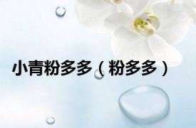 小青粉多多（粉多多）