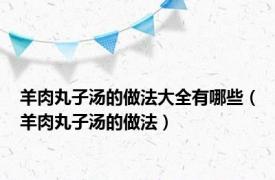 羊肉丸子汤的做法大全有哪些（羊肉丸子汤的做法）