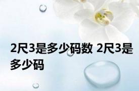 2尺3是多少码数 2尺3是多少码