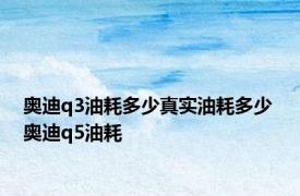 奥迪q3油耗多少真实油耗多少 奥迪q5油耗 