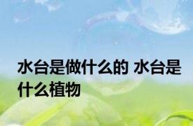 水台是做什么的 水台是什么植物