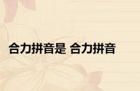 合力拼音是 合力拼音 