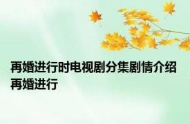 再婚进行时电视剧分集剧情介绍 再婚进行 