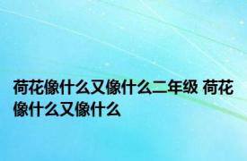 荷花像什么又像什么二年级 荷花像什么又像什么 