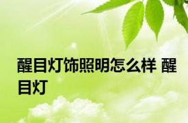 醒目灯饰照明怎么样 醒目灯 