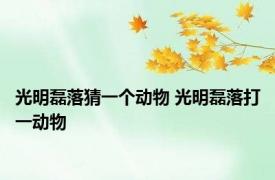 光明磊落猜一个动物 光明磊落打一动物 