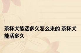 茶杯犬能活多久怎么来的 茶杯犬能活多久 