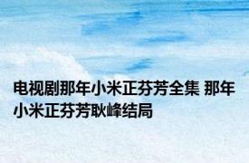 电视剧那年小米正芬芳全集 那年小米正芬芳耿峰结局