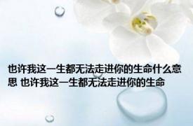 也许我这一生都无法走进你的生命什么意思 也许我这一生都无法走进你的生命 
