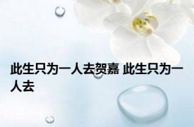 此生只为一人去贺嘉 此生只为一人去 