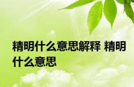 精明什么意思解释 精明什么意思