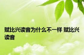 赋比兴读音为什么不一样 赋比兴读音 
