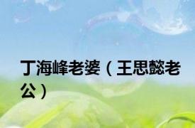 丁海峰老婆（王思懿老公）