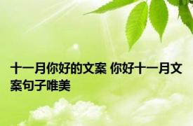 十一月你好的文案 你好十一月文案句子唯美
