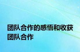 团队合作的感悟和收获 团队合作 