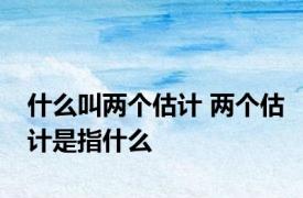 什么叫两个估计 两个估计是指什么 