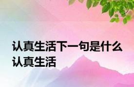 认真生活下一句是什么 认真生活 
