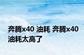 奔腾x40 油耗 奔腾x40油耗太高了 