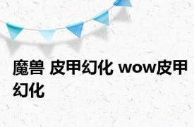 魔兽 皮甲幻化 wow皮甲幻化 