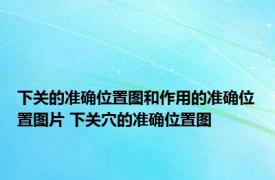 下关的准确位置图和作用的准确位置图片 下关穴的准确位置图 