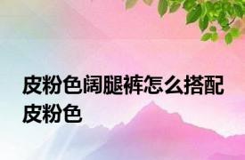 皮粉色阔腿裤怎么搭配 皮粉色 