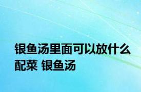 银鱼汤里面可以放什么配菜 银鱼汤 