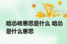 哈怂啥意思是什么 哈怂是什么意思 