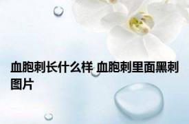 血胞刺长什么样 血胞刺里面黑刺图片 