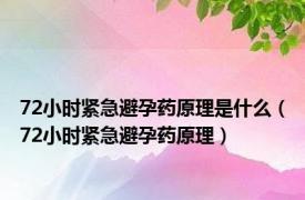 72小时紧急避孕药原理是什么（72小时紧急避孕药原理）