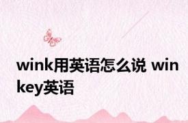 wink用英语怎么说 winkey英语 
