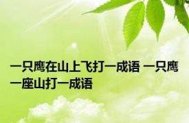 一只鹰在山上飞打一成语 一只鹰一座山打一成语