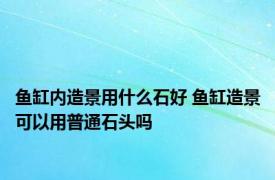 鱼缸内造景用什么石好 鱼缸造景可以用普通石头吗
