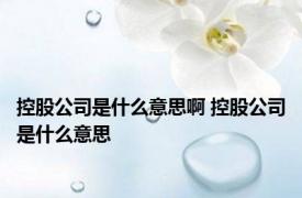 控股公司是什么意思啊 控股公司是什么意思 